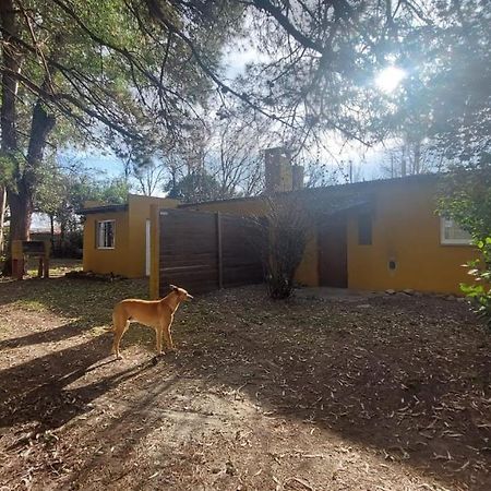 Affittacamere La Nilda Tandil Esterno foto