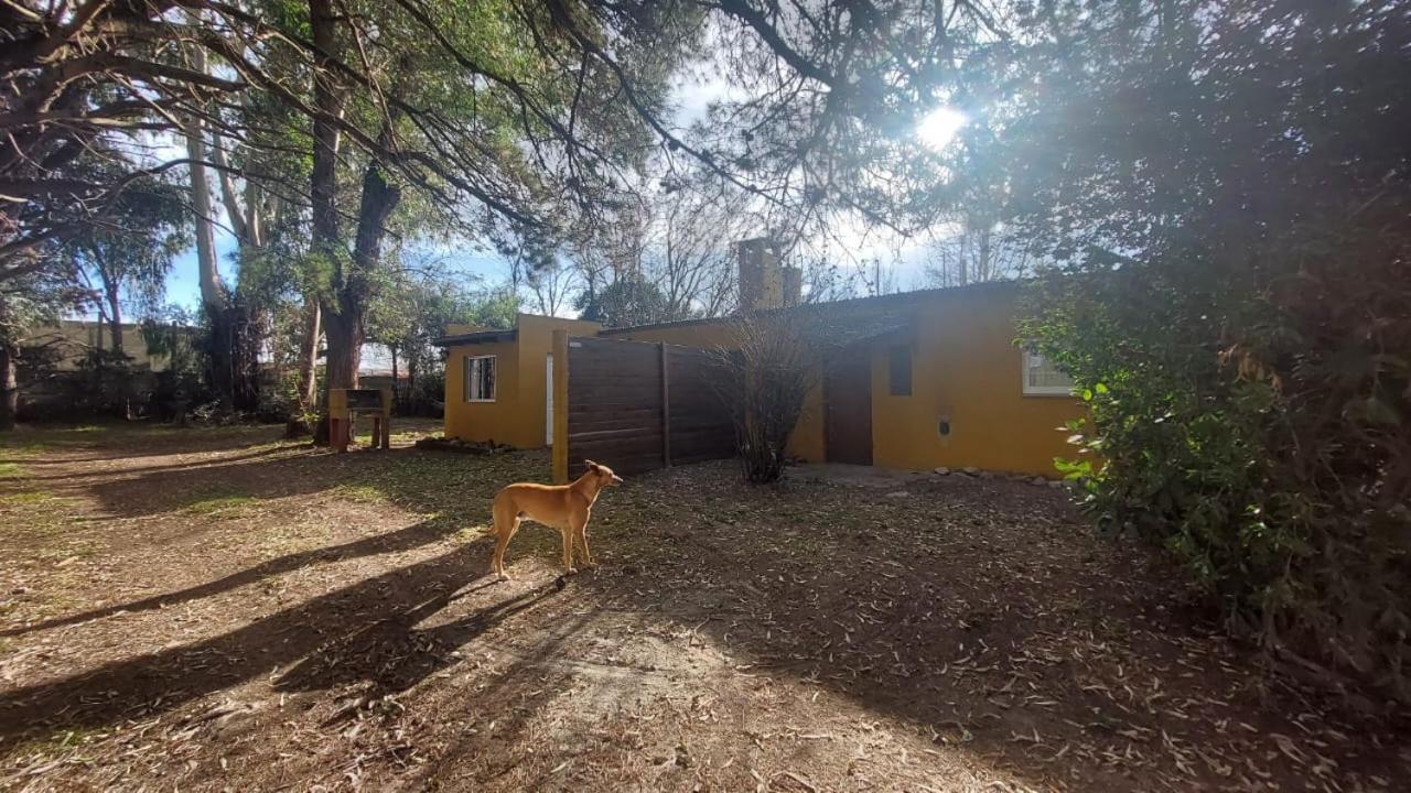 Affittacamere La Nilda Tandil Esterno foto