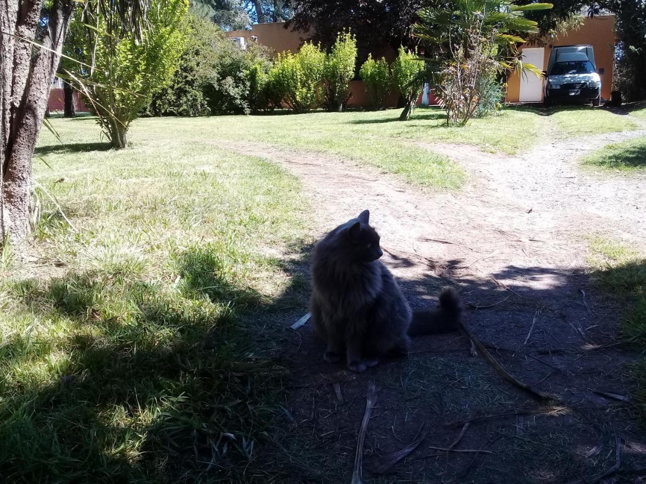 Affittacamere La Nilda Tandil Esterno foto